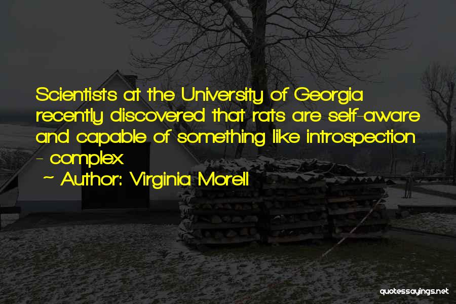 Virginia Morell Quotes 219571