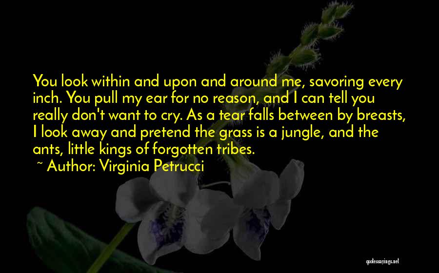 Virginia Petrucci Quotes 76385