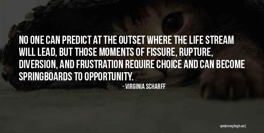 Virginia Scharff Quotes 1456646