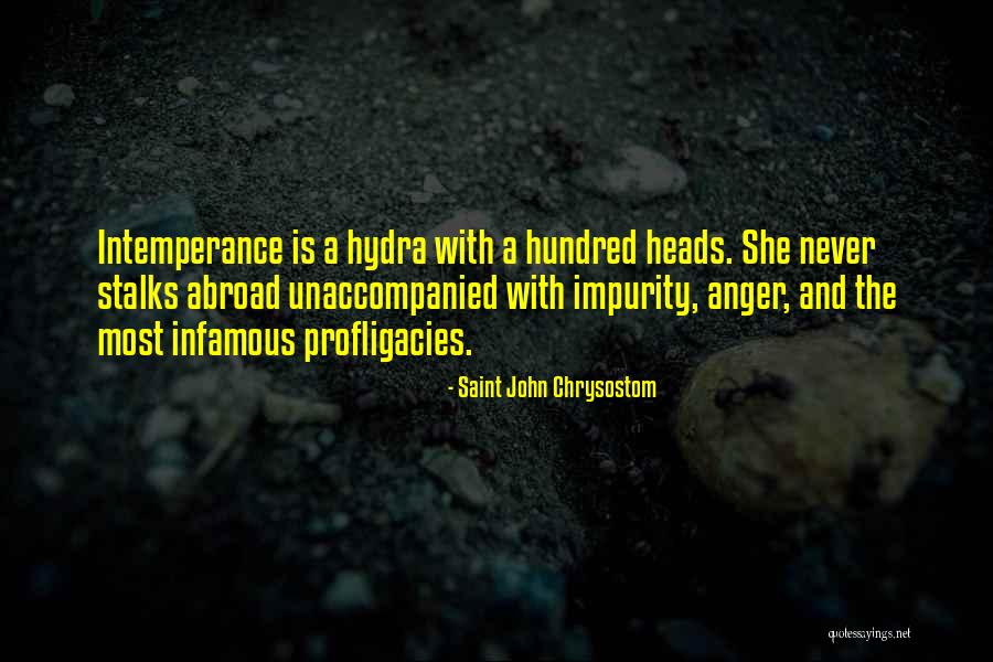 Virginia Usa Quotes By Saint John Chrysostom Virginia Usa Quotes By Saint John Chrysostom