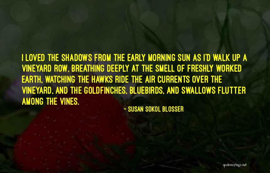 Virginia Woolf Quotes Quotes By Susan Sokol Blosser Virginia Woolf Quotes Quotes By Susan Sokol Blosser