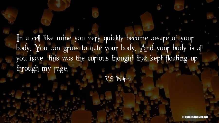 Virker Mundbind Quotes By V.S. Naipaul Virker Mundbind Quotes By V.S. Naipaul