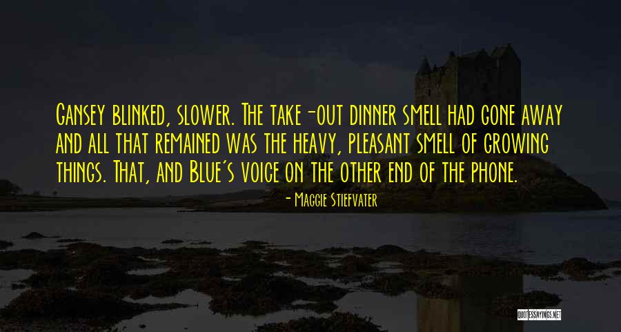 Virnovo Quotes By Maggie Stiefvater Virnovo Quotes By Maggie Stiefvater