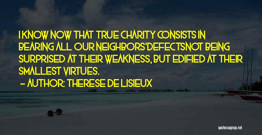 Virtues And Defects Quotes By Therese De Lisieux