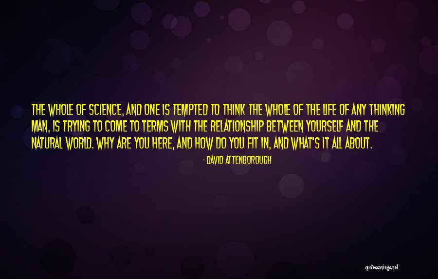 Virtuosity Synonym Quotes By David Attenborough Virtuosity Synonym Quotes By David Attenborough