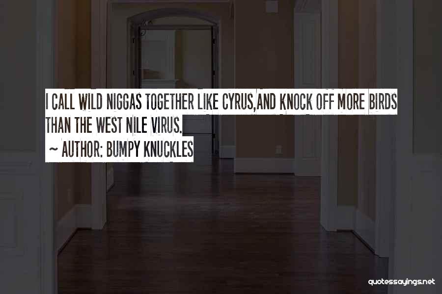 Virus Quotes By Bumpy Knuckles