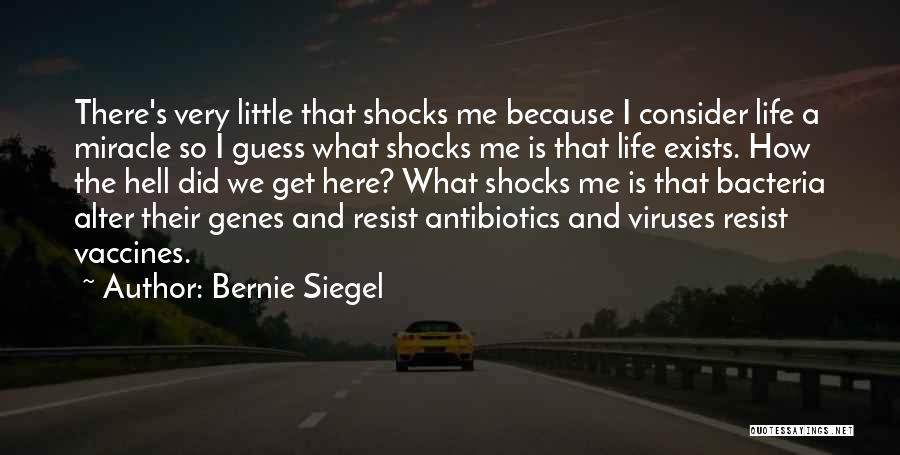 Viruses Quotes By Bernie Siegel