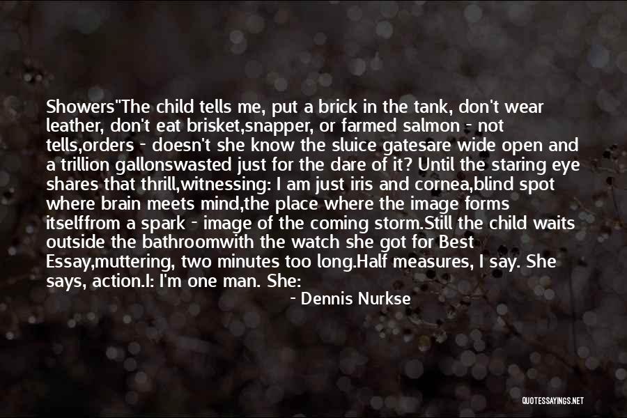 Virvilis Apartments Quotes By Dennis Nurkse Virvilis Apartments Quotes By Dennis Nurkse
