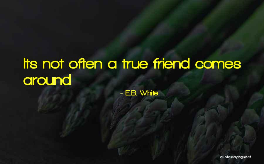 Visarga Quotes By E.B. White Visarga Quotes By E.B. White