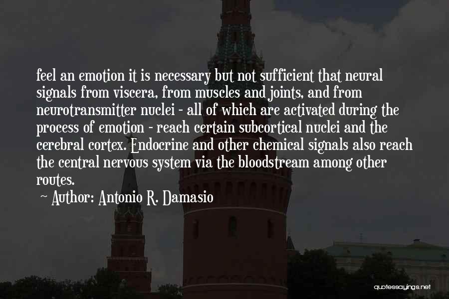 Viscera Quotes By Antonio R. Damasio