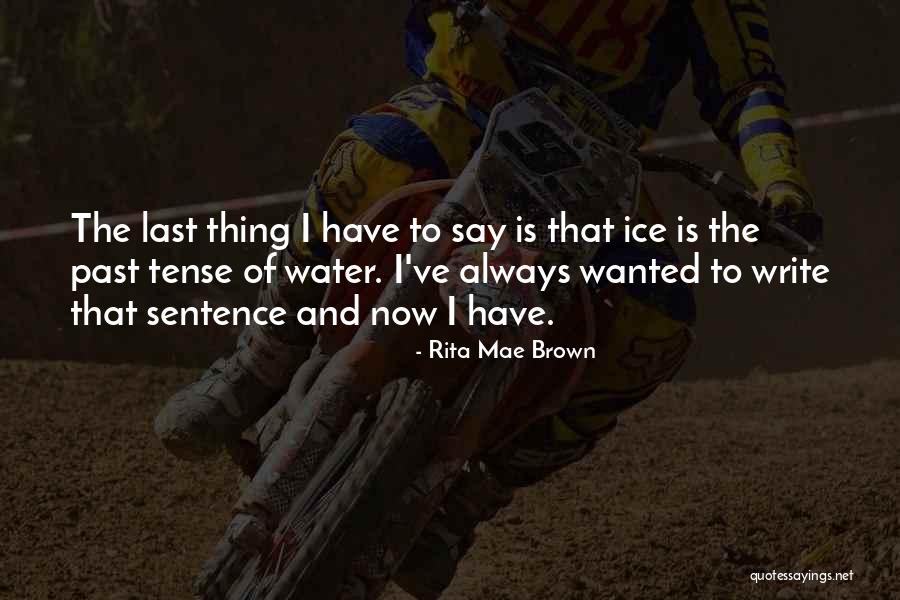 Viscontis Folsom Quotes By Rita Mae Brown Viscontis Folsom Quotes By Rita Mae Brown