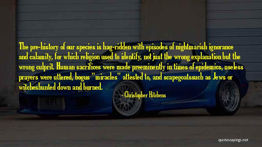 Viscosoft Quotes By Christopher Hitchens Viscosoft Quotes By Christopher Hitchens