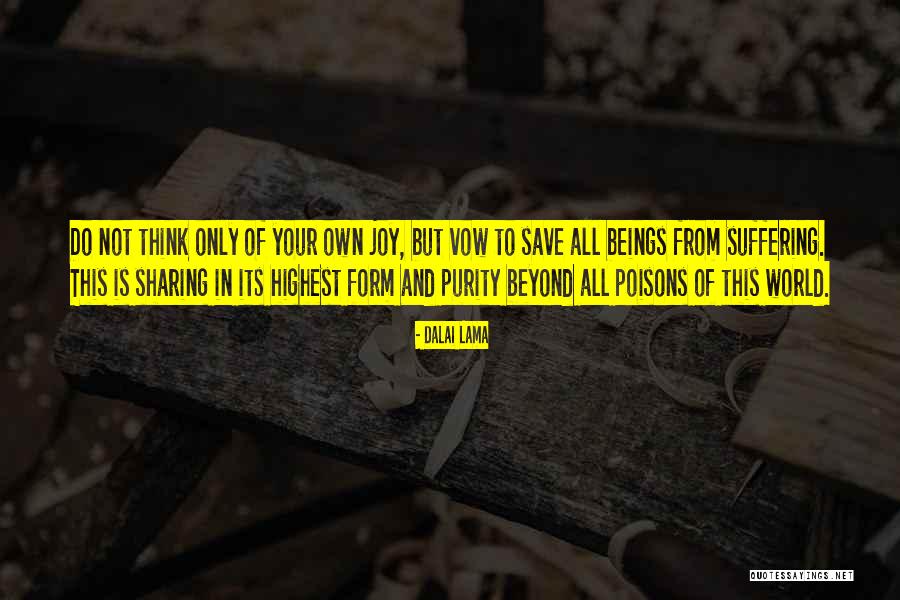 Vishant Programmer Quotes By Dalai Lama Vishant Programmer Quotes By Dalai Lama