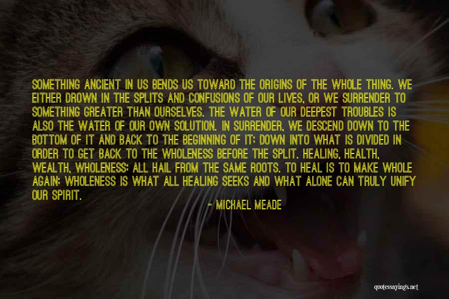 Vishnu Kumar Quotes By Michael Meade Vishnu Kumar Quotes By Michael Meade