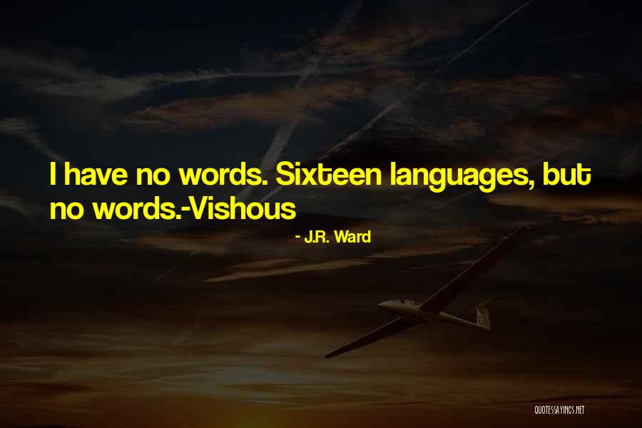 Vishous Bdb Quotes By J.R. Ward