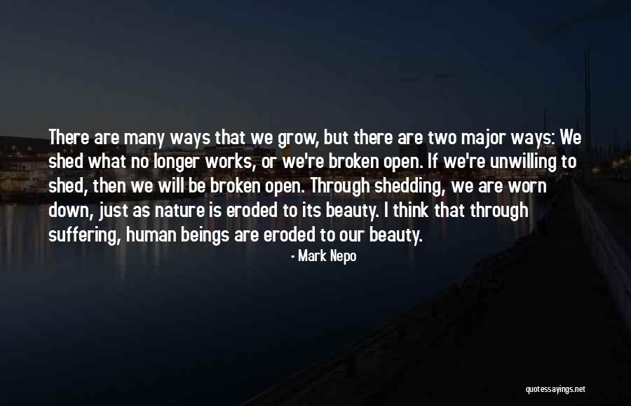 Vishwajeet Borwankar Quotes By Mark Nepo Vishwajeet Borwankar Quotes By Mark Nepo