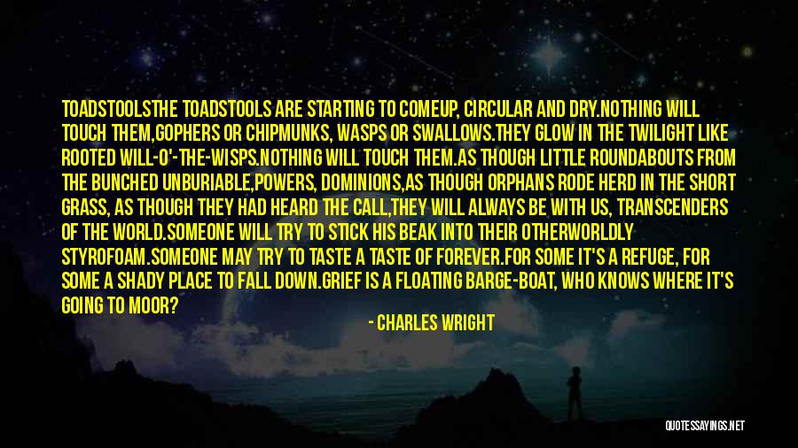 Vishwakarma University Quotes By Charles Wright Vishwakarma University Quotes By Charles Wright