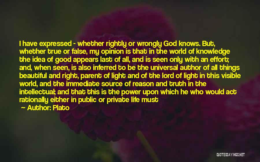 Visible Light Quotes By Plato