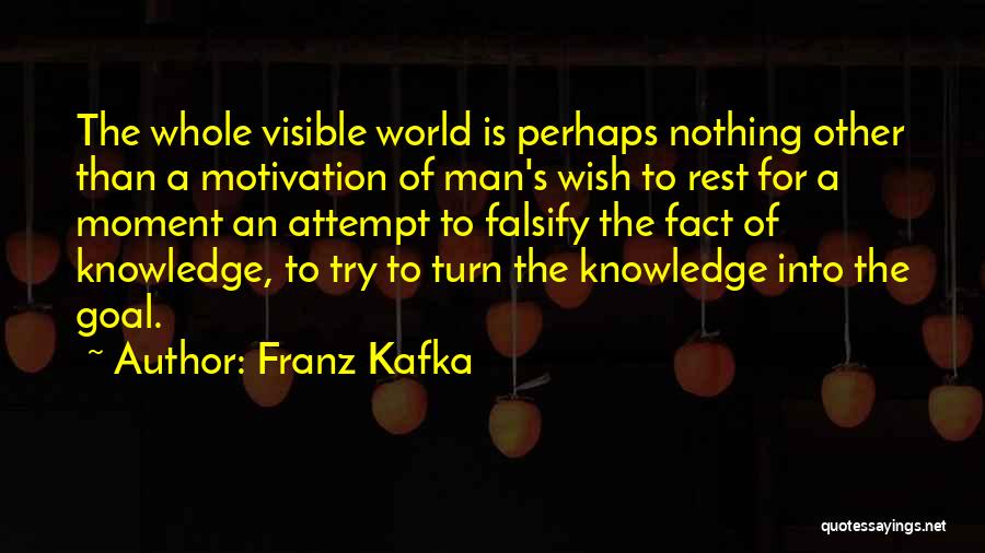 Visible Man Quotes By Franz Kafka