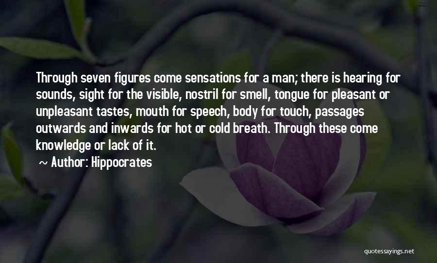 Visible Man Quotes By Hippocrates