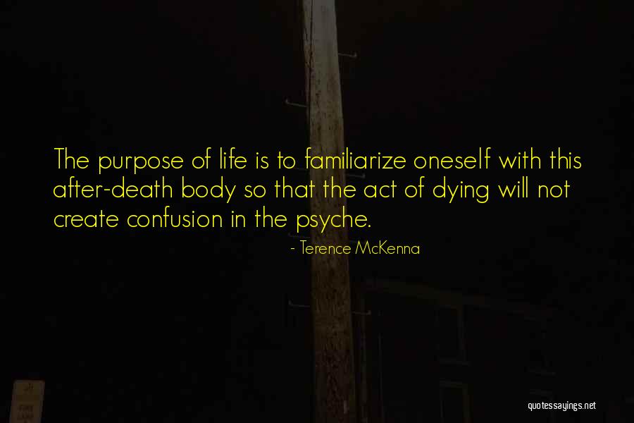 Visini Usa Quotes By Terence McKenna Visini Usa Quotes By Terence McKenna