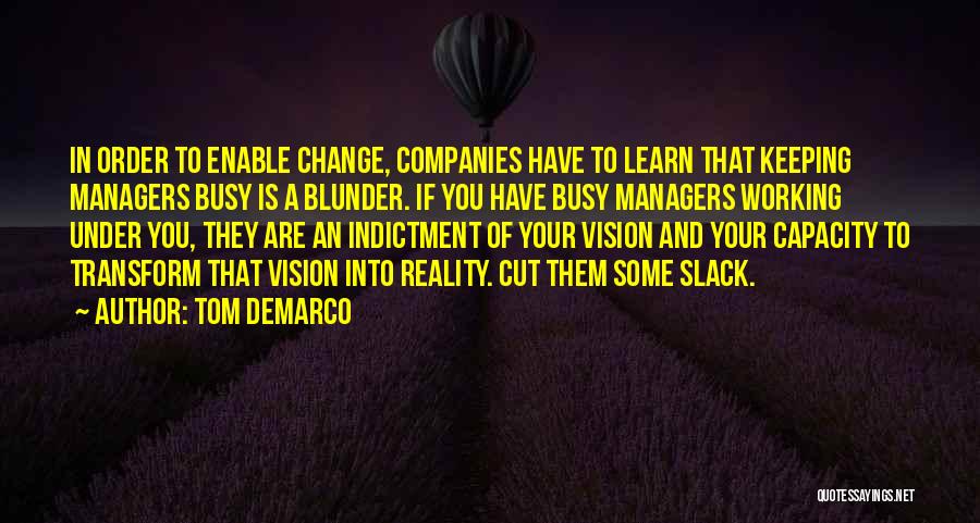 Vision And Change Quotes By Tom DeMarco