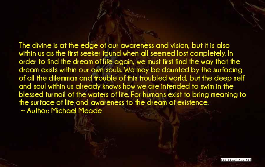 Vision And Dreams Quotes By Michael Meade
