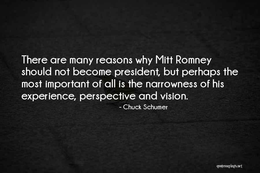 Vision And Perspective Quotes By Chuck Schumer Vision And Perspective Quotes By Chuck Schumer