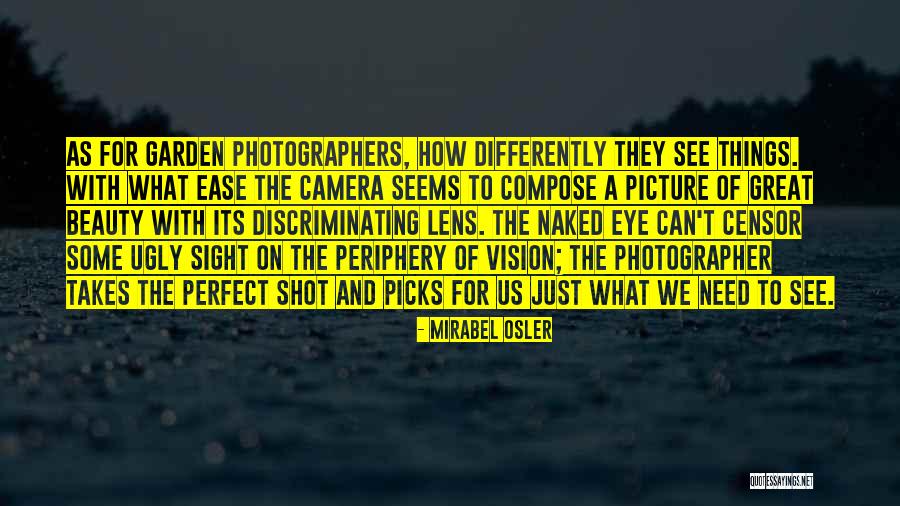 Vision And Sight Quotes By Mirabel Osler Vision And Sight Quotes By Mirabel Osler