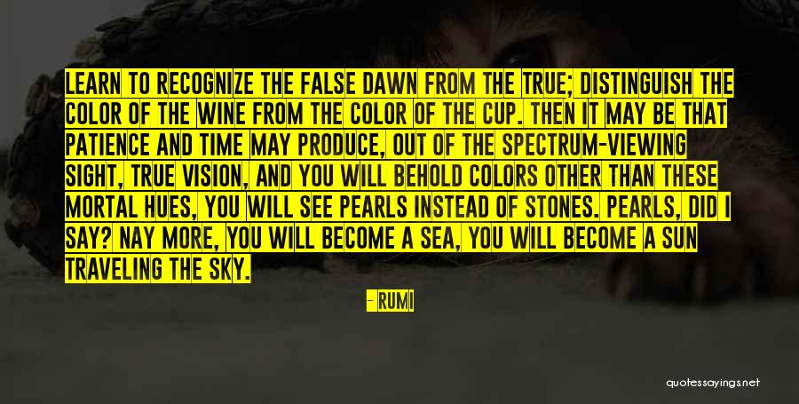 Vision And Sight Quotes By Rumi Vision And Sight Quotes By Rumi