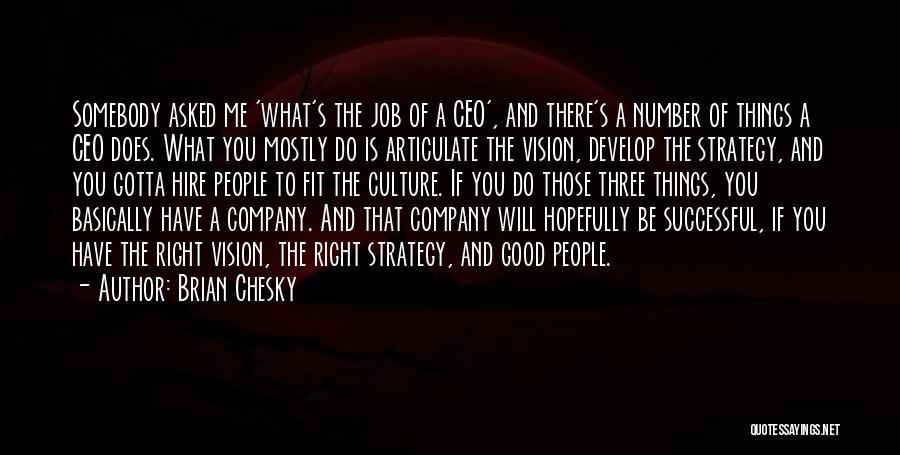 Vision And Strategy Quotes By Brian Chesky