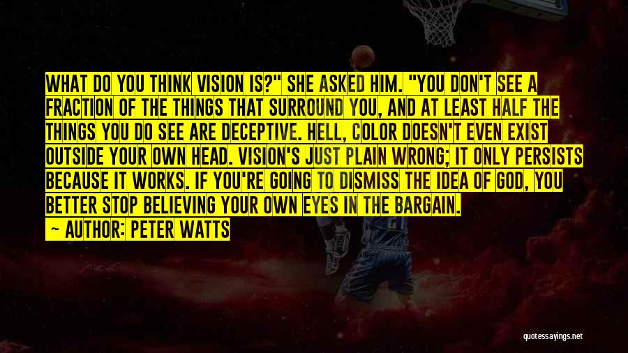 Vision God Quotes By Peter Watts