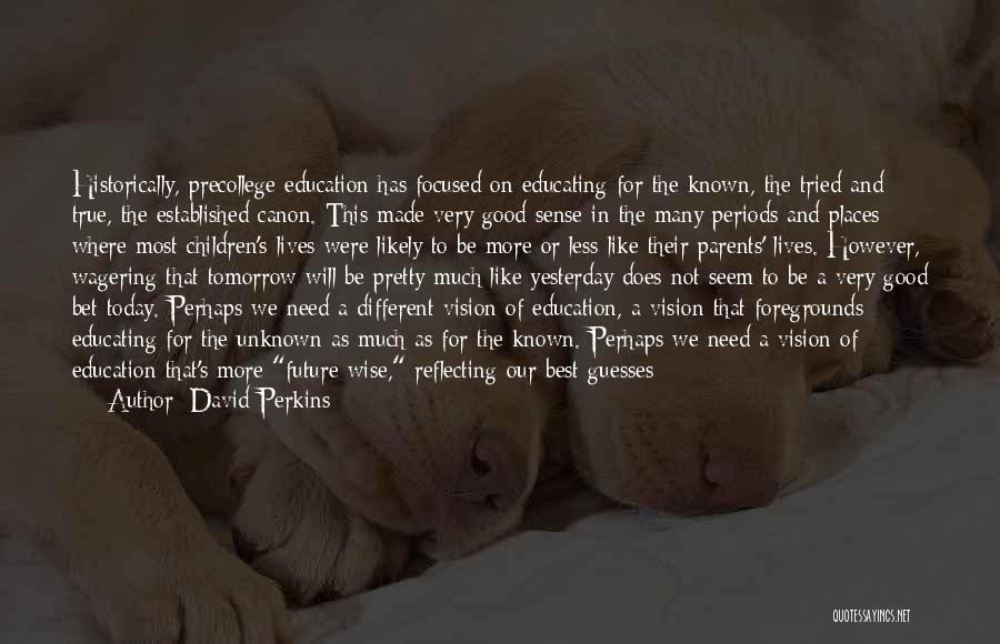 Vision In Education Quotes By David Perkins