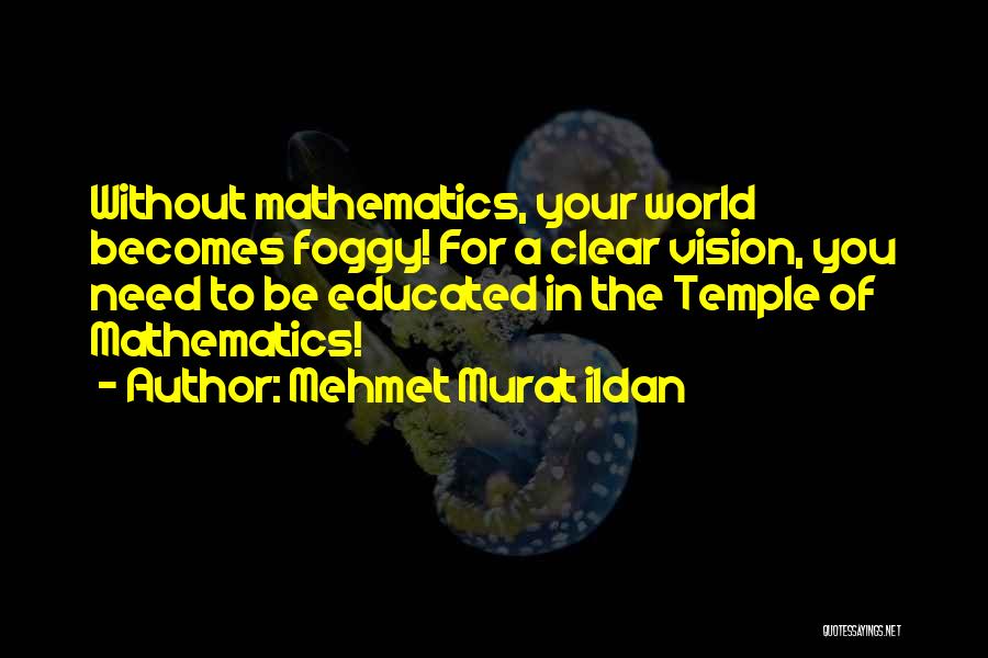 Vision In Education Quotes By Mehmet Murat Ildan