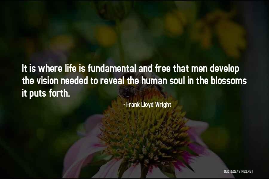 Vision In Life Quotes By Frank Lloyd Wright Vision In Life Quotes By Frank Lloyd Wright