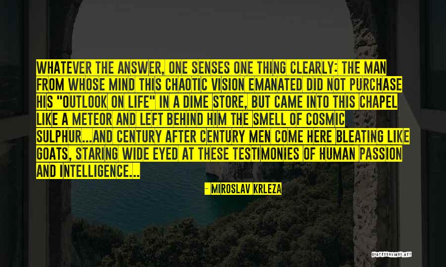 Vision In Life Quotes By Miroslav Krleza Vision In Life Quotes By Miroslav Krleza