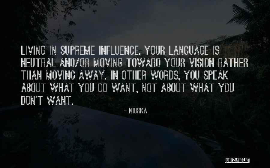 Vision In Life Quotes By Niurka