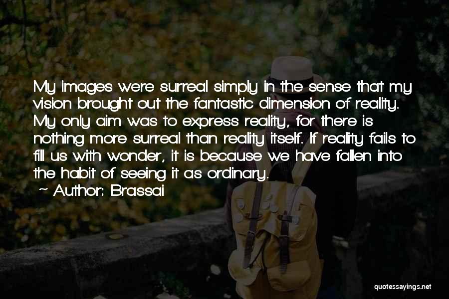 Vision Into Reality Quotes By Brassai