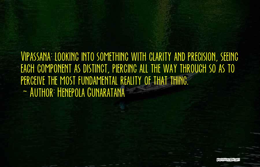 Vision Into Reality Quotes By Henepola Gunaratana