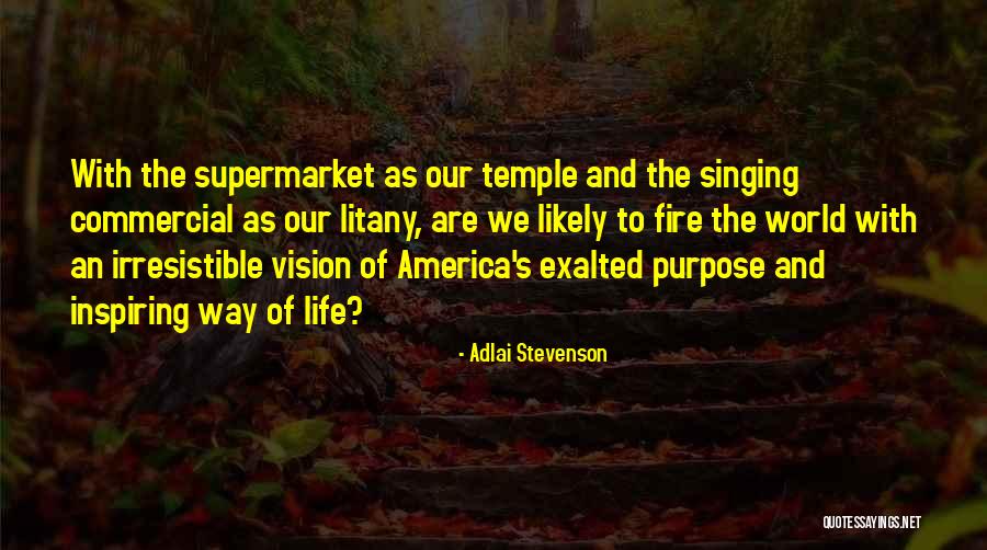 Vision Of America Quotes By Adlai Stevenson