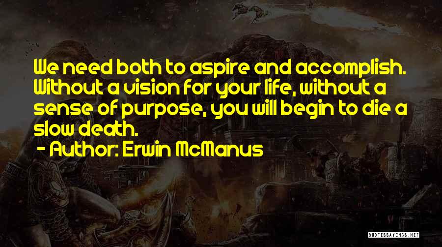 Vision Of Life Quotes By Erwin McManus