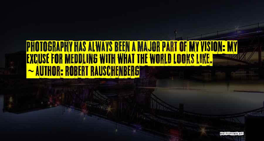 Vision Of Photography Quotes By Robert Rauschenberg