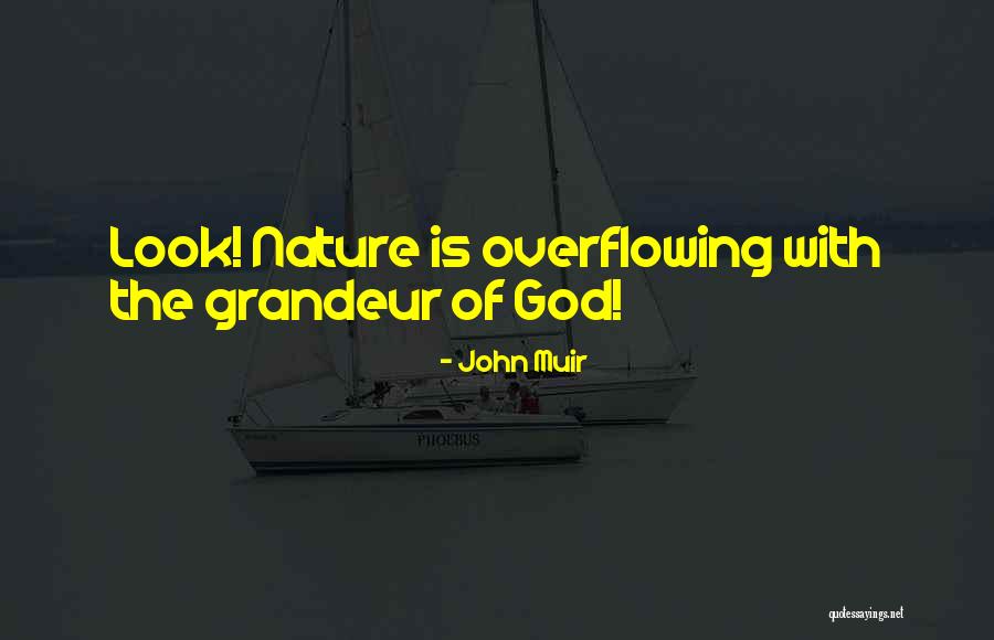 Vision That Looks Quotes By John Muir Vision That Looks Quotes By John Muir