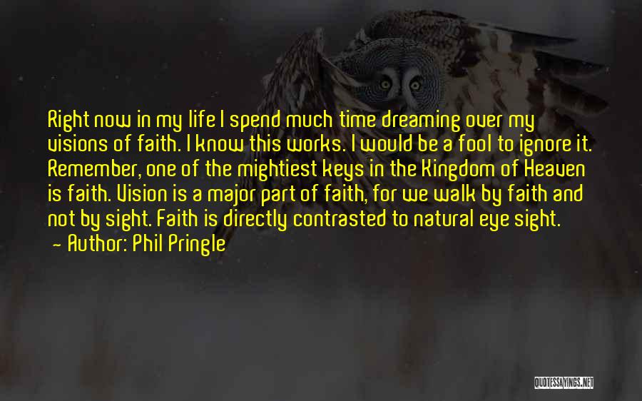 Vision Works Quotes By Phil Pringle