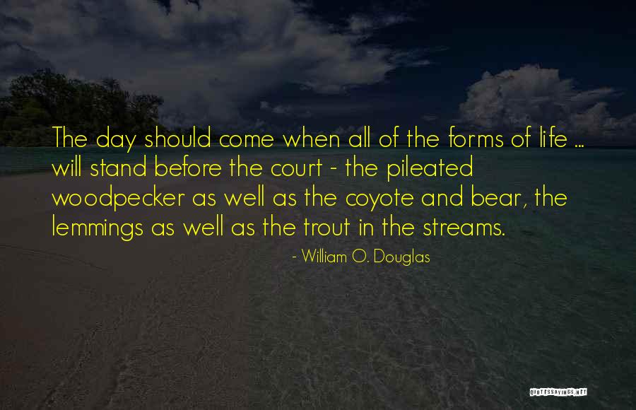 Visionary Company Quotes By William O. Douglas Visionary Company Quotes By William O. Douglas