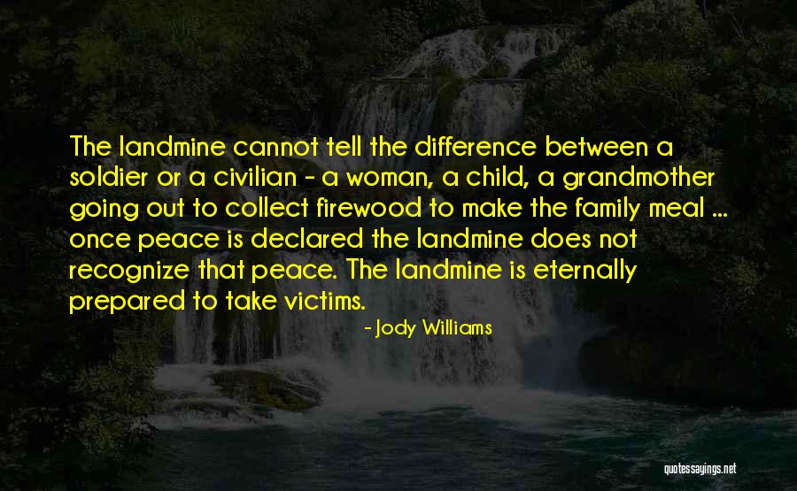 Visionary Leaders Quotes By Jody Williams Visionary Leaders Quotes By Jody Williams