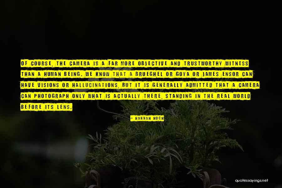 Visions Hallucinations Quotes By Hannah Hoch