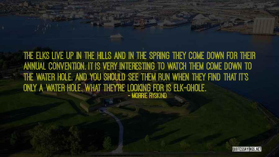 Visions Hallucinations Quotes By Morrie Ryskind