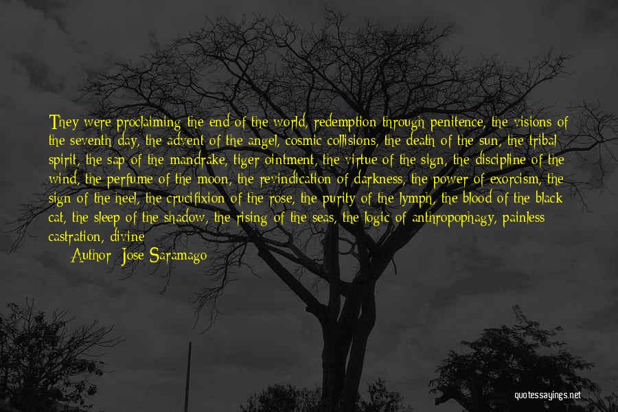 Visions In Death Quotes By Jose Saramago