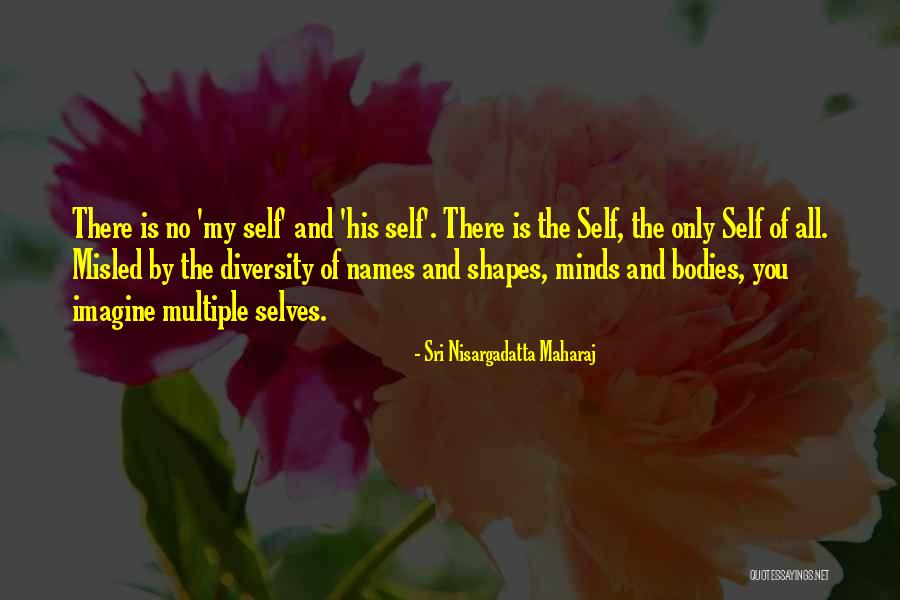 Visit Andaman Quotes By Sri Nisargadatta Maharaj Visit Andaman Quotes By Sri Nisargadatta Maharaj